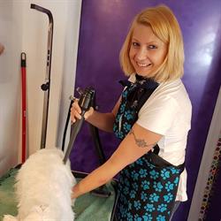 Hundesalon Cleo, St. Peter am Ottersbach Öffnungszeiten