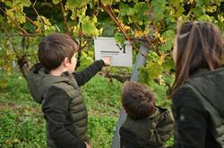 Weingut Magerl, Fels am Wagram Öffnungszeiten