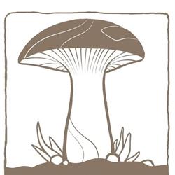 Waldviertler Pilzgarten, Großschönau Öffnungszeiten
