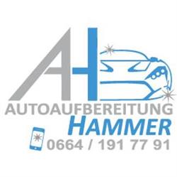 Autoaufbereitung Hammer, Jennersdorf Öffnungszeiten