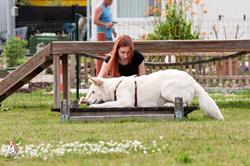 Tiermasseur Mannsberger, Wien Öffnungszeiten