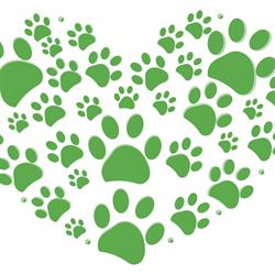 Hundefrisör Samtpfote, Lochau Öffnungszeiten
