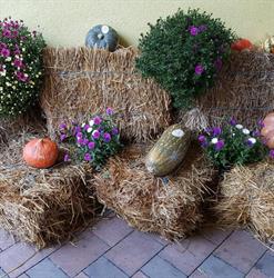 Weinbau Johann Schlager, Leobersdorf Öffnungszeiten