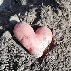 Finkhof, Wildermieming Öffnungszeiten