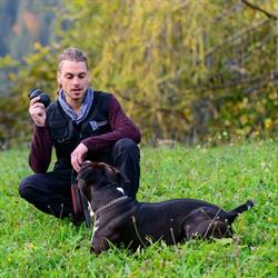 Wolfgang Zecha - Hundetraining und Coaching für Menschen, Lunz am See Öffnungszeiten