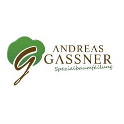 Spezialbaumfällung Andreas Gassner, Großgmain Öffnungszeiten