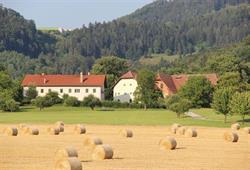 Gut Pichlhof, Frohnleiten Öffnungszeiten