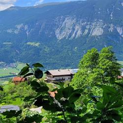 Happmannhof, Gallzein Öffnungszeiten
