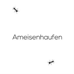 Webdesign Wien - AMEISENHAUFEN GmbH, Öffnungszeiten