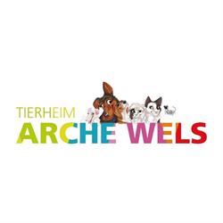 Arche Wels, Öffnungszeiten