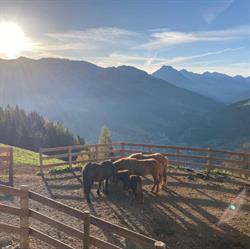 Oberegghof, Wagrain Öffnungszeiten
