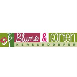 Blume & Garten Kerschdorfer, Hippach Öffnungszeiten