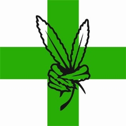 Hanfthekeplus, Palterndorf Öffnungszeiten