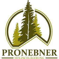 Pronebner Michael, St. Veit im Pongau Öffnungszeiten