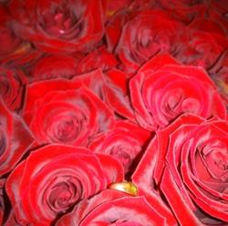 Blumenboutique Renate, Blindenmarkt Öffnungszeiten