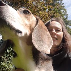 Tierarzt Dr. Ingeborg Hein, Baden Öffnungszeiten