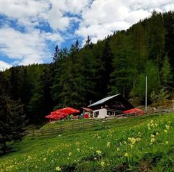 Kreither Alm, Öffnungszeiten