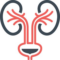 Urologe in Wien, Dr. med. Markus Riedl, FEBU, Öffnungszeiten