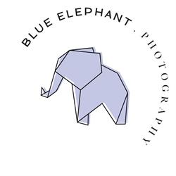 Blue Elephant Photography, Altmünster Öffnungszeiten
