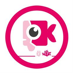 PINKFiSH Creatives, Mödling Öffnungszeiten