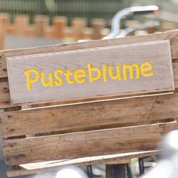 PUSTEBLUME Andrea Brunner, Möllbrücke Öffnungszeiten