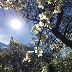 Ferienwohnung Steiner - Sautens - Oetztal, Öffnungszeiten