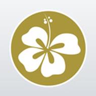 Blumenboutique-Julia Meisterfloristin, Kirchdorf an der Krems Öffnungszeiten