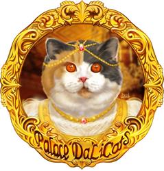 AT * Palace DaLiCats, Wien Öffnungszeiten