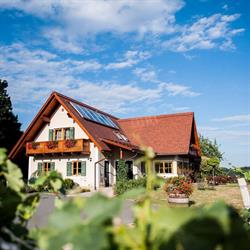 Weingut & Gästezimmer Gamser, Leutschach Öffnungszeiten