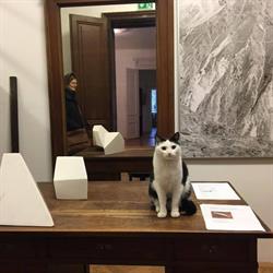 Essingers Art Club im Essinger Haus, Mödling Öffnungszeiten