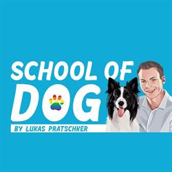 School of Dog by Supertalent Lukas und Falco, Wien Öffnungszeiten