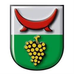 Marktgemeinde Tieschen, Öffnungszeiten