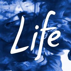 LIFE Church Klagenfurt, Öffnungszeiten
