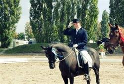 Reitsportzentrum Hofstatt, Maria Anzbach Öffnungszeiten