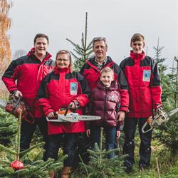 Christbaum Augeneder, Oberthambach Öffnungszeiten