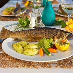 Hayat - mediterranes Restaurant am Ossiacher See, Steindorf am Ossiacher See Öffnungszeiten