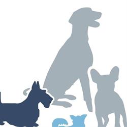 Bettinas Hundesalon, Auersthal Öffnungszeiten
