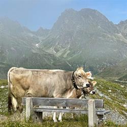 Haus Berta, Partenen - Ferienwohnungen im Montafon, Öffnungszeiten