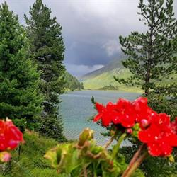 Alpengasthaus Obersee Staller Sattel, St. Jakob in Defereggen Öffnungszeiten