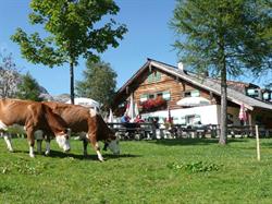 Mitterfeldalm, Werfen Öffnungszeiten