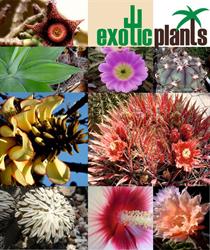 ExoticPlants, Wien Öffnungszeiten