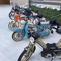 Flanagan’s - Biker Bar, Stoob Öffnungszeiten