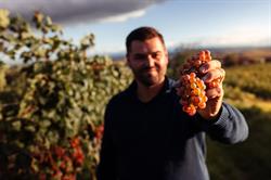 Marianne Eder (Weingut Eder), Jettsdorf Öffnungszeiten