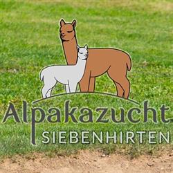 Alpakazucht Siebenhirten, Mistelbach Öffnungszeiten