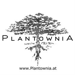 Plantownia GesbR, Bairisch Kölldorf Öffnungszeiten