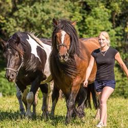 Pferdehandel Cindy Oberladstätter, Gallzein Öffnungszeiten