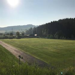 Sportplatz Zwettl/Rodl, Zwettl an der Rodl Öffnungszeiten