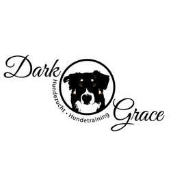 Dark Grace, Friedburg Öffnungszeiten