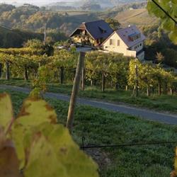 Weinidylle Dreisiebner, Sulztal an der Weinstraße Öffnungszeiten