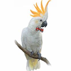 Cockatoo English Solutions e.U., Graz Öffnungszeiten
